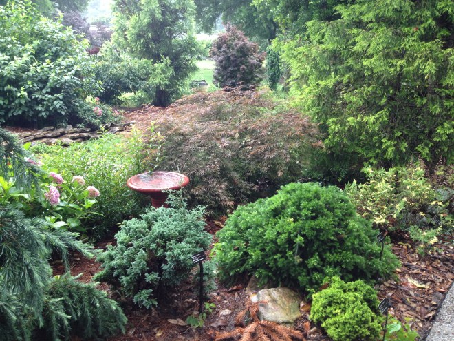 blog - trial gardens